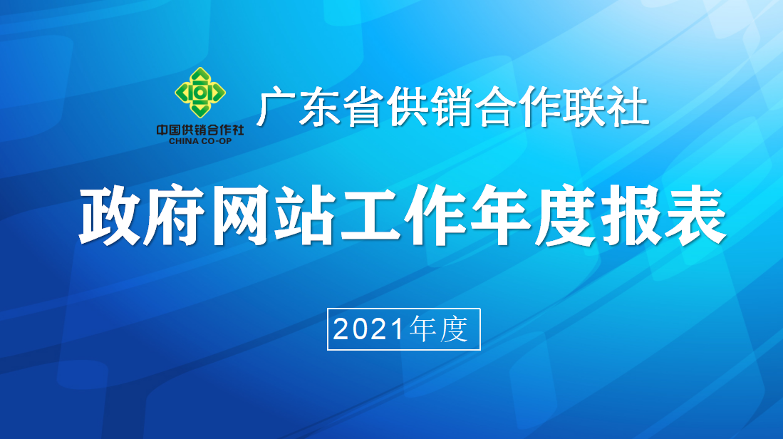 政府网站工作年度报表2021 背景.png